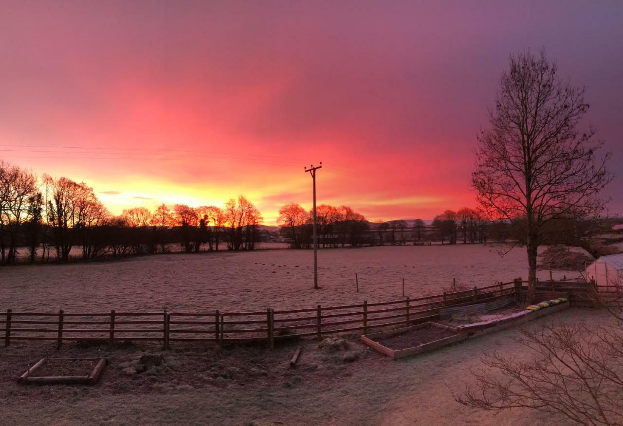 Maesyfelin Isaf B&B Llanybyther Eksteriør bilde