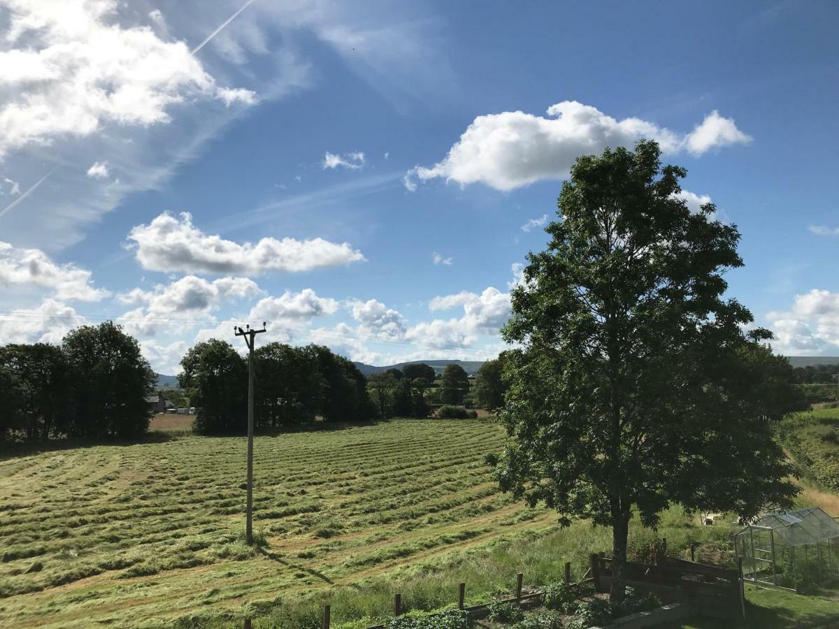 Maesyfelin Isaf B&B Llanybyther Eksteriør bilde