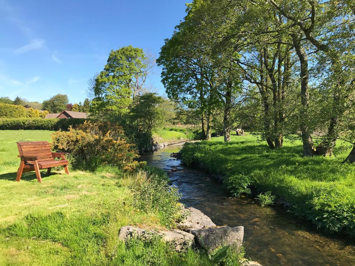 Maesyfelin Isaf B&B Llanybyther Eksteriør bilde